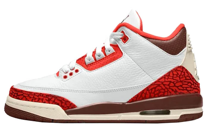 Air Jordan 3 Retro SE