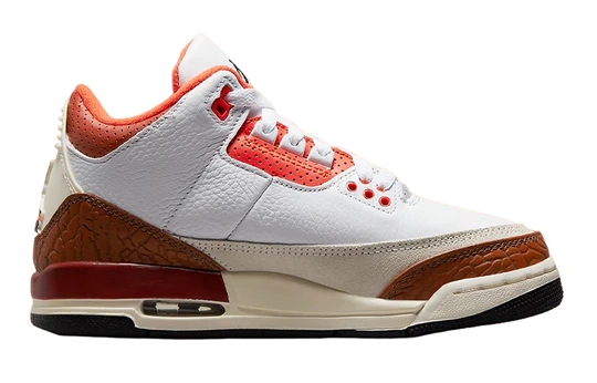 Air Jordan 3 Retro SE