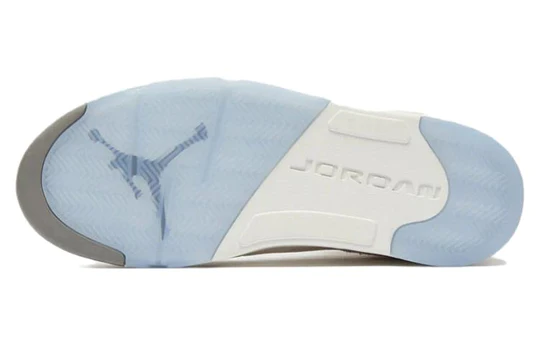 Air Jordan 5 Retro SE