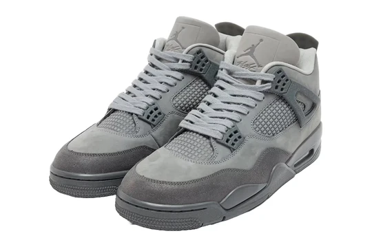 Air Jordan 4 Retro SE