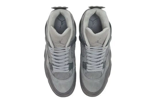 Air Jordan 4 Retro SE